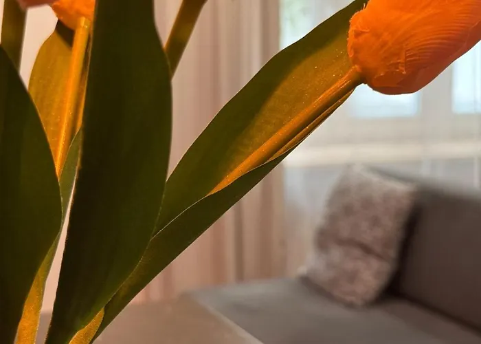 Heart Of V Vi Apartment *