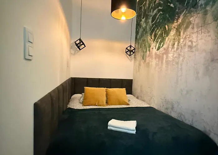 Apartament Heart Of V Vi *